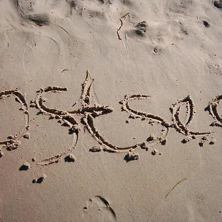 Boeck 7 Comfortable * Глове